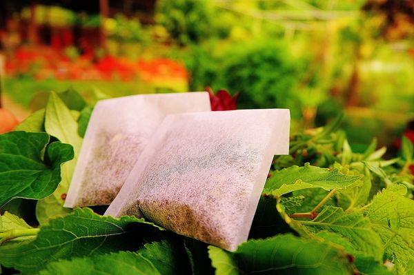 【Taiwan Taoyuan】田園創作工房chi nature garden  チェリーさんの自然農園 @貝大小姐的多元心宇宙