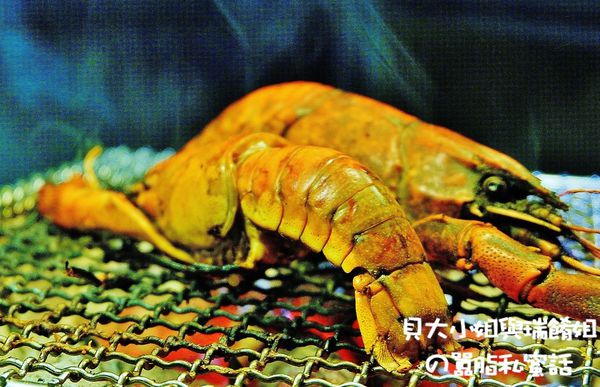 【台北 忠孝復興站 忠孝敦化站】燒肉-殿 燒肉吃到飽 @貝大小姐的多元心宇宙
