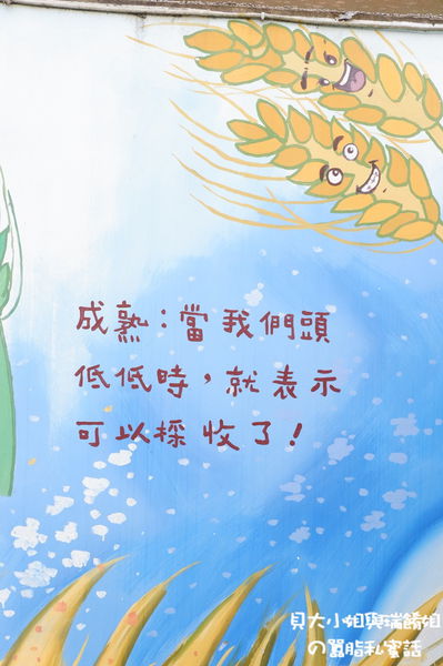 【2020台中燈會遊大雅】大雅吃喝玩樂景點推薦：麥根小學堂 X 小林煎餅 X 富林園洋菓子 X 復興餐廳 X 忠義眷村巷弄雕堡 @貝大小姐的多元心宇宙