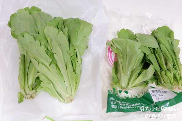 【好物推薦】鮮客Freshcan遠紅外線高效鎖鮮袋 @貝大小姐的多元心宇宙