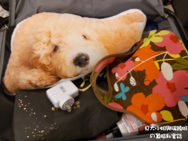 【客製化禮物】Lifetata 抱枕屋 訂製寵物造型枕 @貝大小姐的多元心宇宙