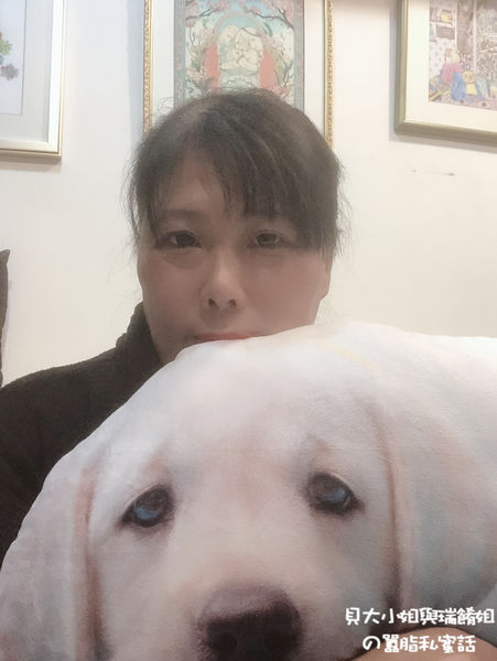 【客製化禮物】Lifetata 抱枕屋 訂製寵物造型枕 @貝大小姐的多元心宇宙