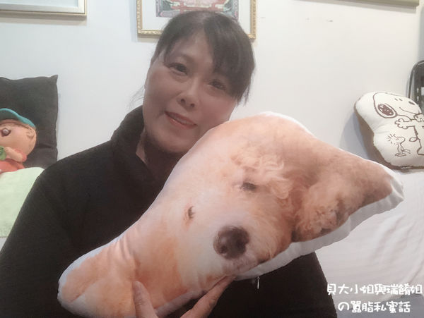 【客製化禮物】Lifetata 抱枕屋 訂製寵物造型枕 @貝大小姐的多元心宇宙