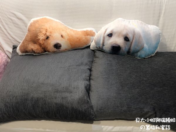 【客製化禮物】Lifetata 抱枕屋 訂製寵物造型枕 @貝大小姐的多元心宇宙
