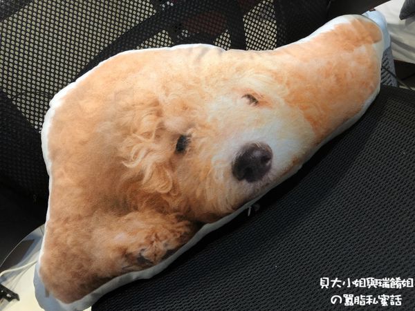 【客製化禮物】Lifetata 抱枕屋 訂製寵物造型枕 @貝大小姐的多元心宇宙