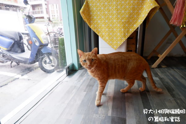 【台北 松山區波士頓派推薦】Dobby手工甜點 松山區甜點推薦 @貝大小姐的多元心宇宙