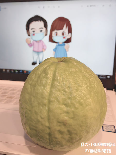 【現摘水果推薦】阿榮芭樂小農 燕巢珍珠芭樂 @貝大小姐的多元心宇宙